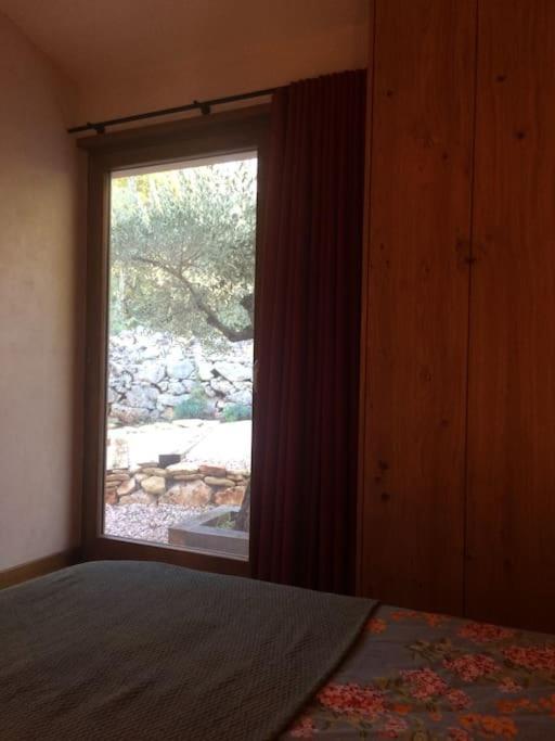 Lodge Les Oliviers Garéoult Kültér fotó
